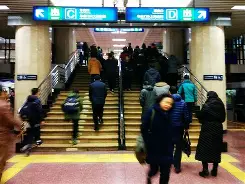 多米注册-北京首钢园乒乓球比赛最新消息