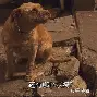 欧联杯阿贾克斯 欧联杯阿贾克斯